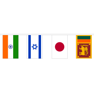 44 Asian Nations Bunting (13m Length)
