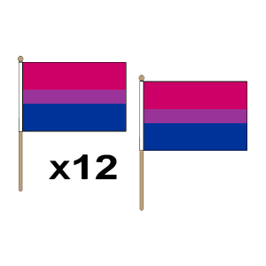 Bi-Pride Hand Flags (12 Pack)