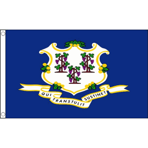 Connecticut Flag
