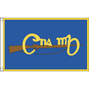 Cumann na mBan Flag