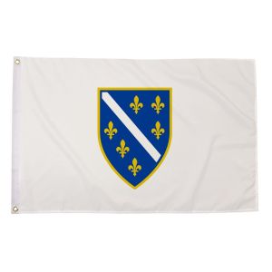 Bosnia And Herzegovina 1992 1998 Flag