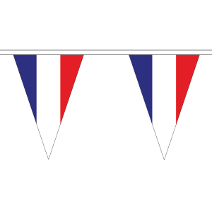 France Triangle Bunting