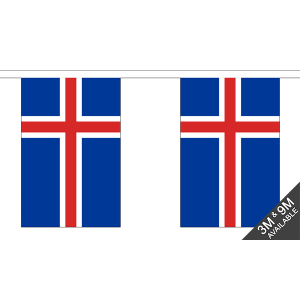 Iceland Bunting