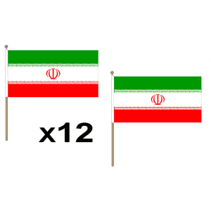 Iran Large Hand Flags (12 Pack)