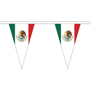Mexico Triangle Bunting
