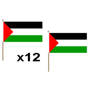 Palestine Large Hand Flags (12 Pack)