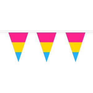 Pansexual Triangle Bunting