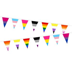 Pride Mixed Identity (7 Designs) Triangle Bunting (15m Length)