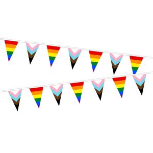 Progress And Rainbow (Alternating) Triangle Bunting (15m Length)