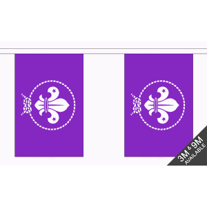Scouts Purple Bunting