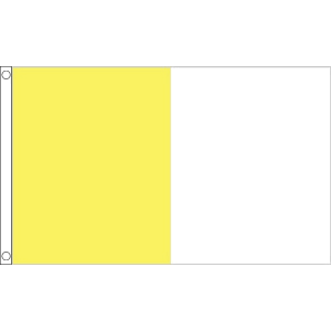 Saffron and White Irish County Flag