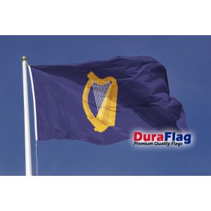 The President of Ireland Duraflag Premium Quality Flag