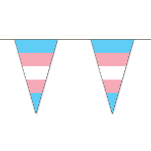 Transgender (New) Triangle Bunting