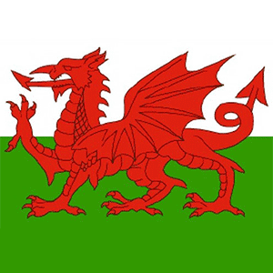 Wales Bandana