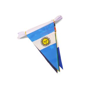 2018 World Cup Triangle Bunting (11m Length)